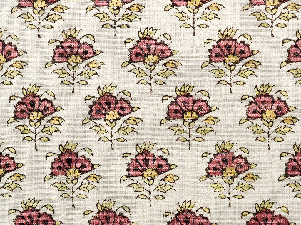 Gulnaar - Rose