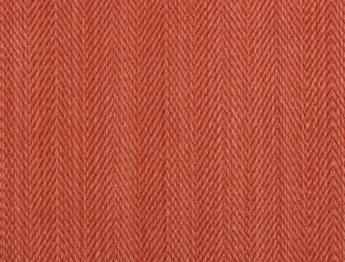 Hilsa - Coral