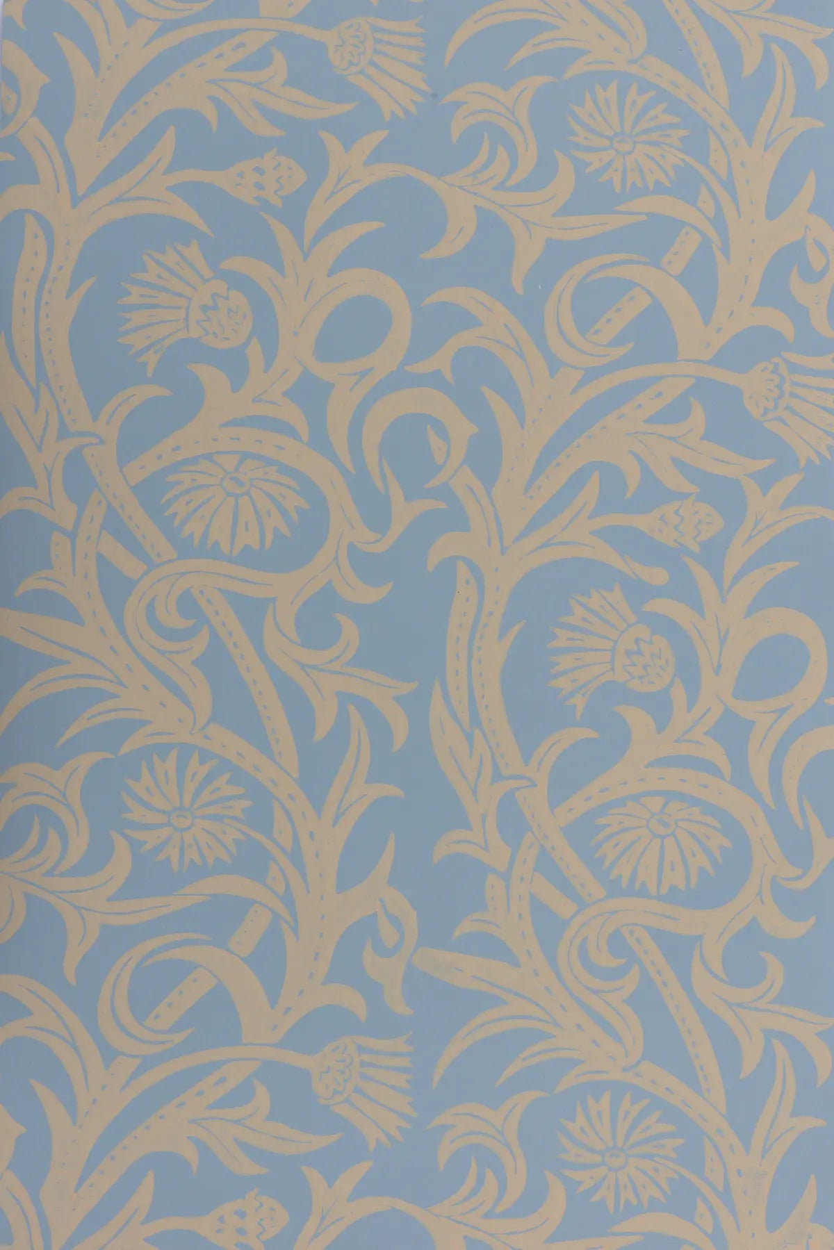 Cardoon - Dorset Cream on Horizon Blue