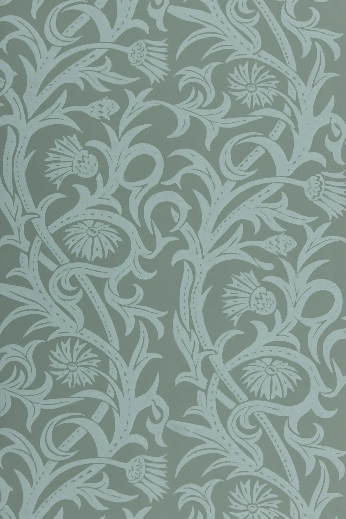 Cardoon - Eype Green on Misterton Sage