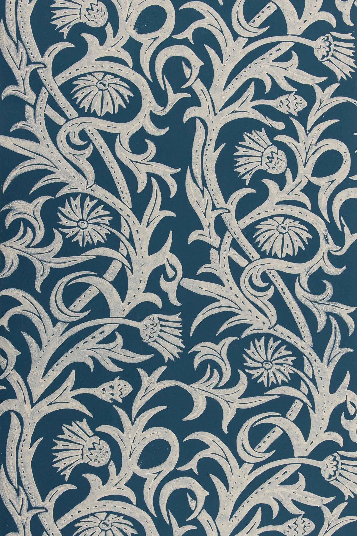 Cardoon - Chalk White on Dark Blue