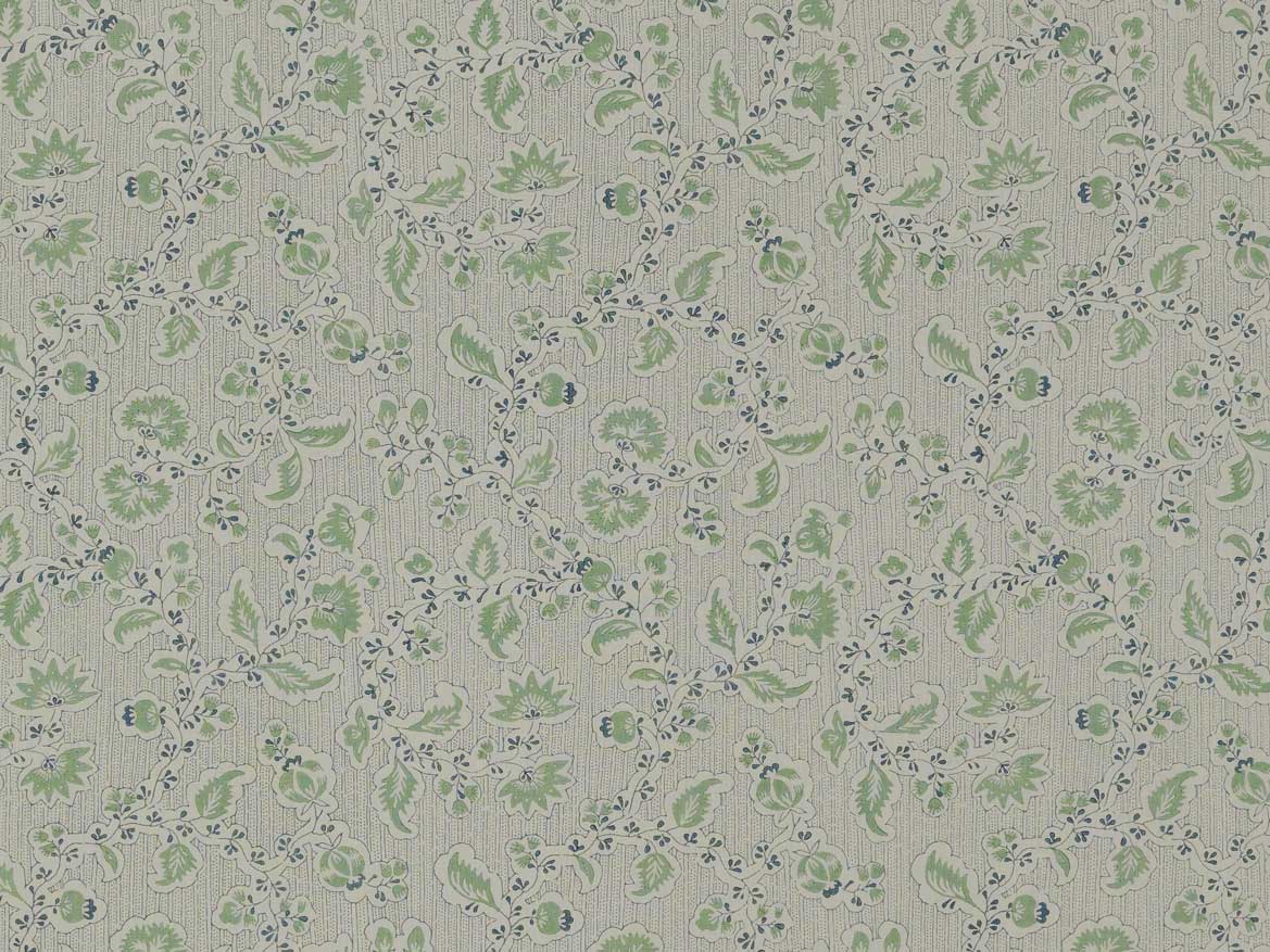 Jheel - Mint