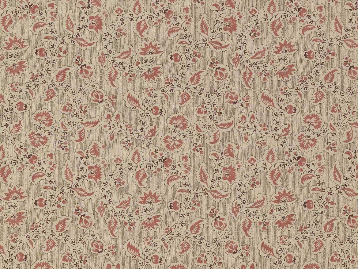 Jheel - Raspberry
