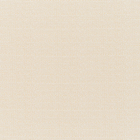 Indian Garden Plain - Cream