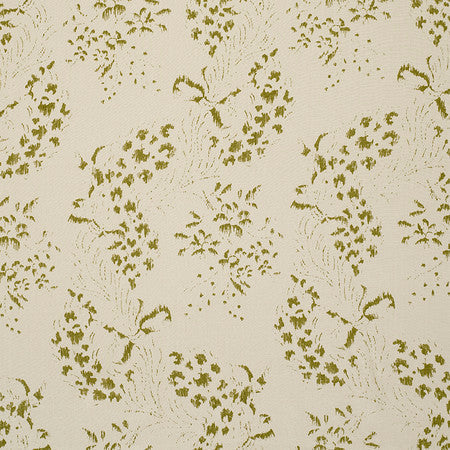 Minterne Garden - Olive
