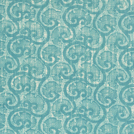 Coquina - Turquoise