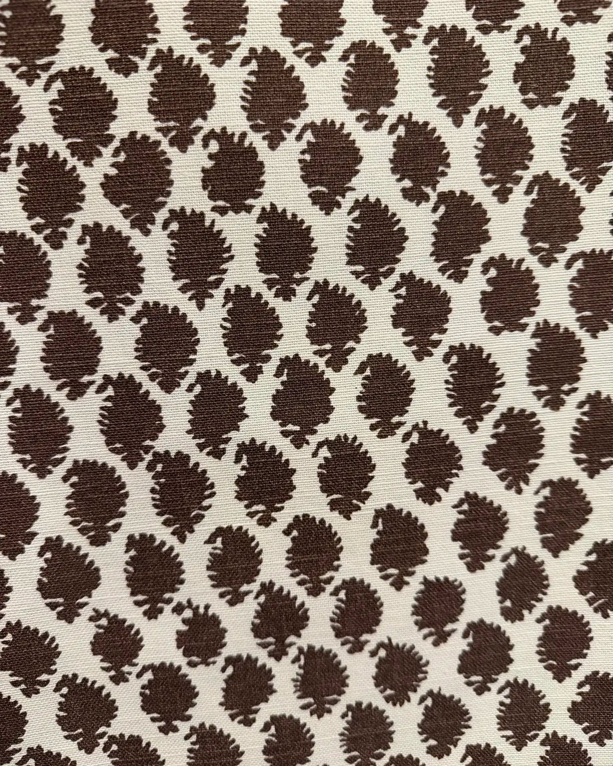 Jaisilmir Reverse - Cocoa