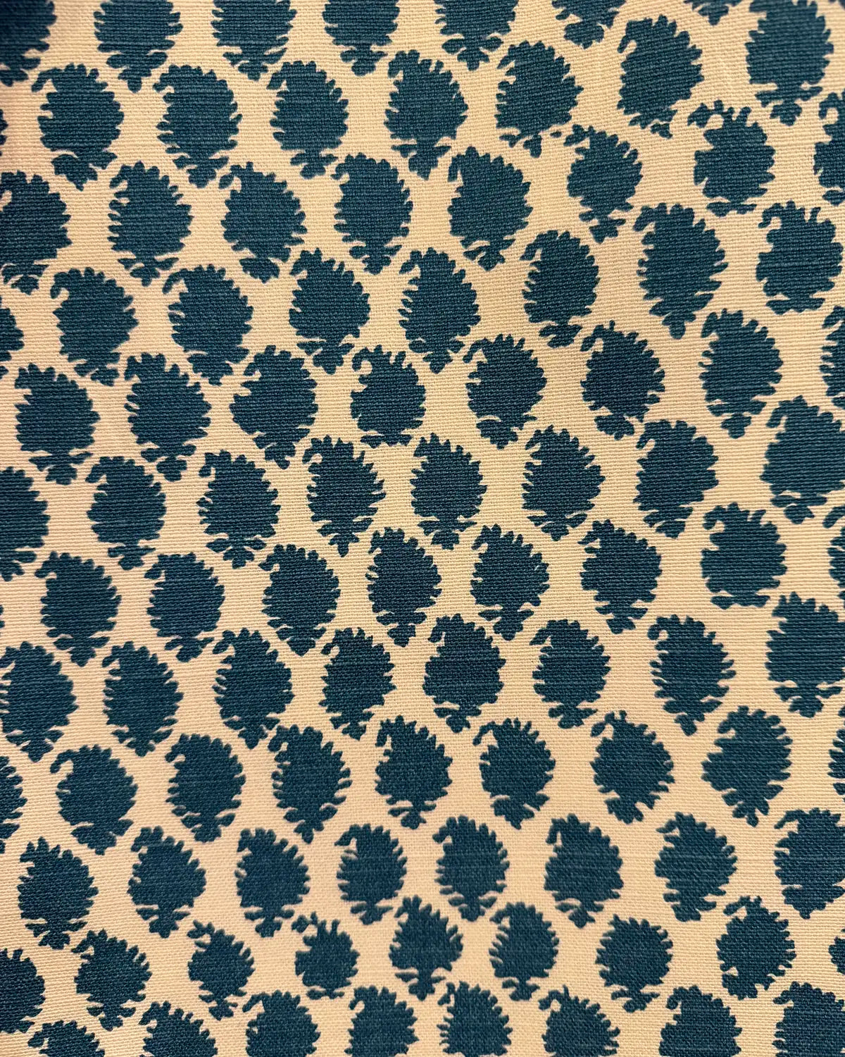Jaisilmir Reverse - Peacock