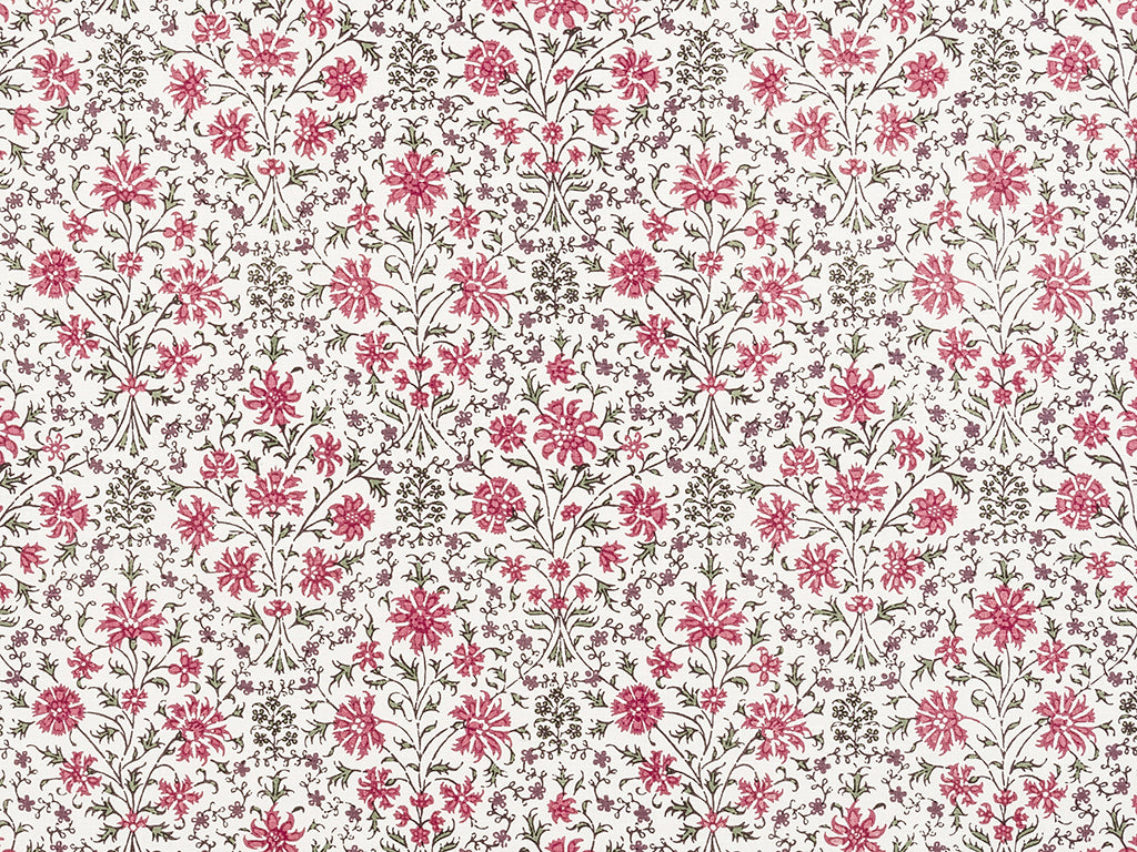 Kushi - Raspberry