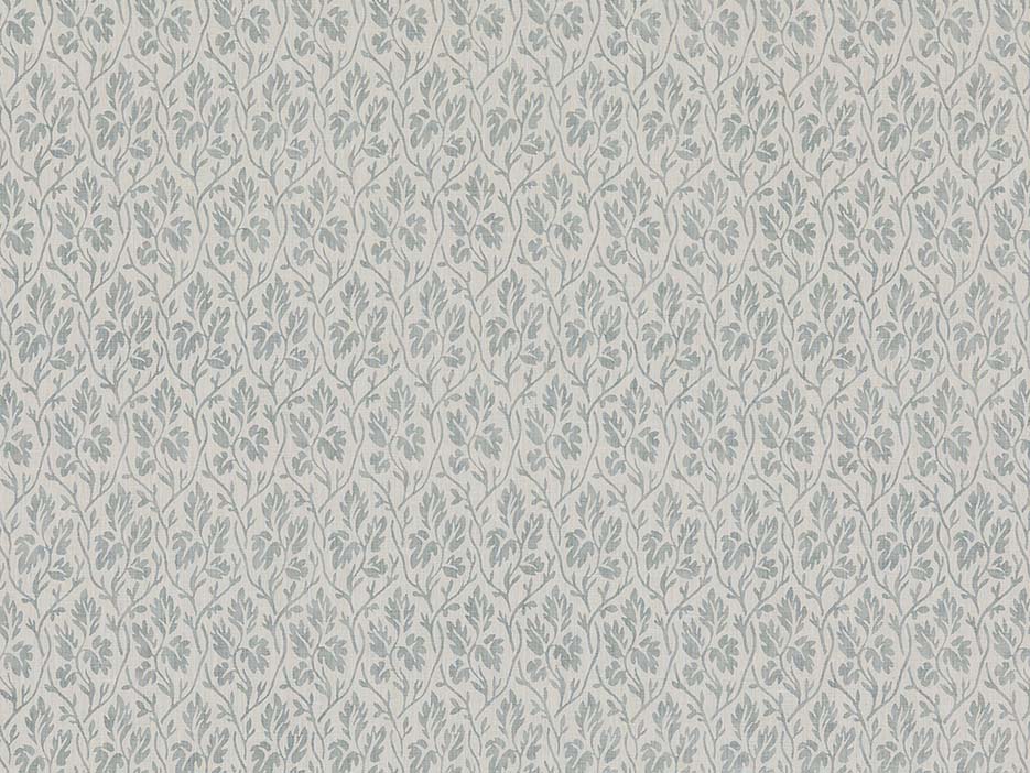 La Vigne Positive - Aqua