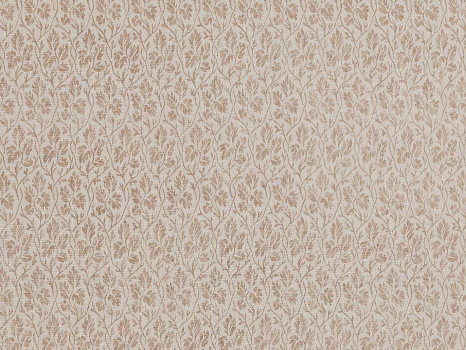La Vigne Positive - Sand
