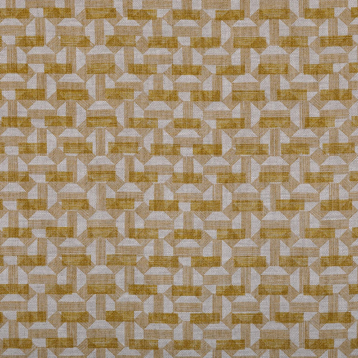 Salina - SALI-004