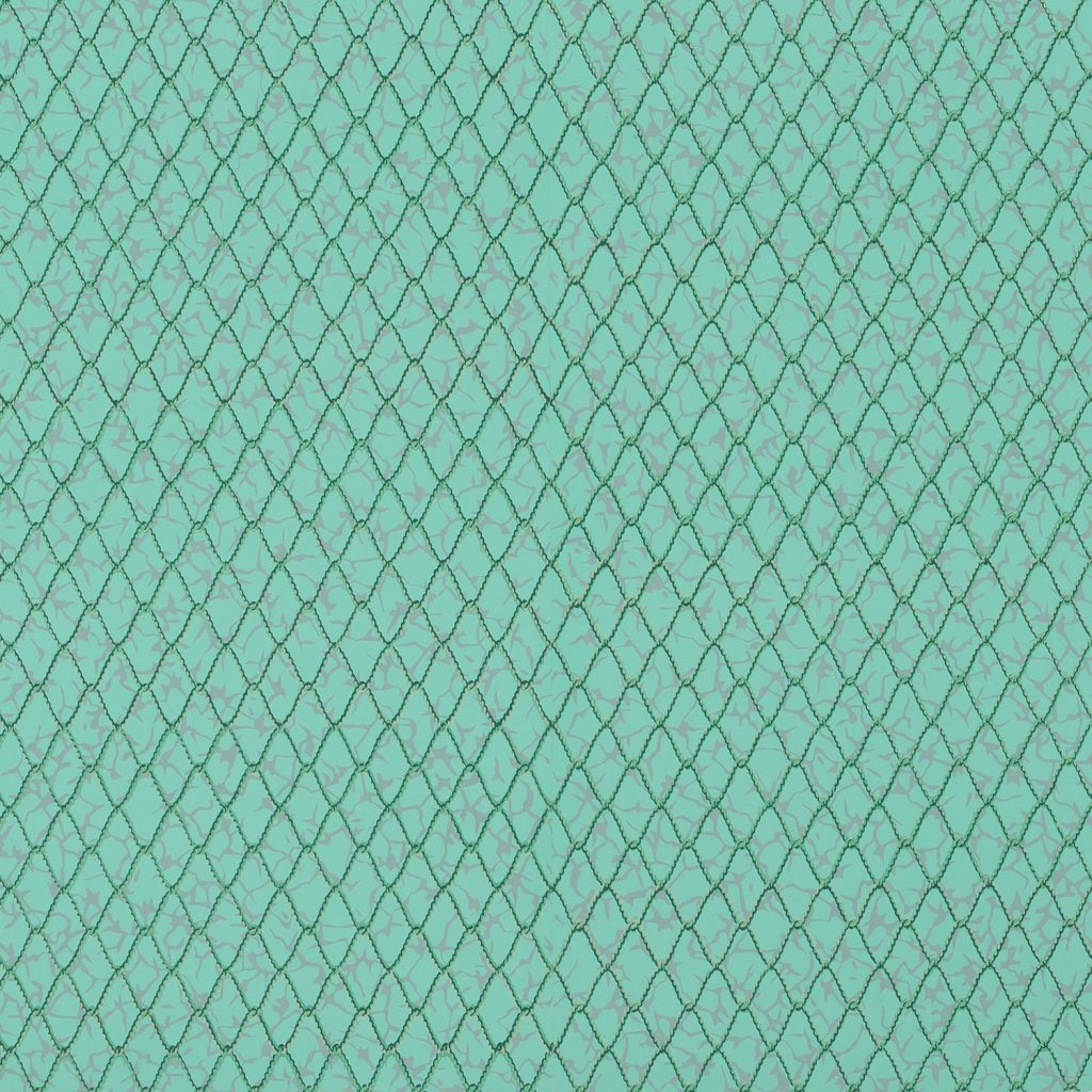 Net - A Aqua