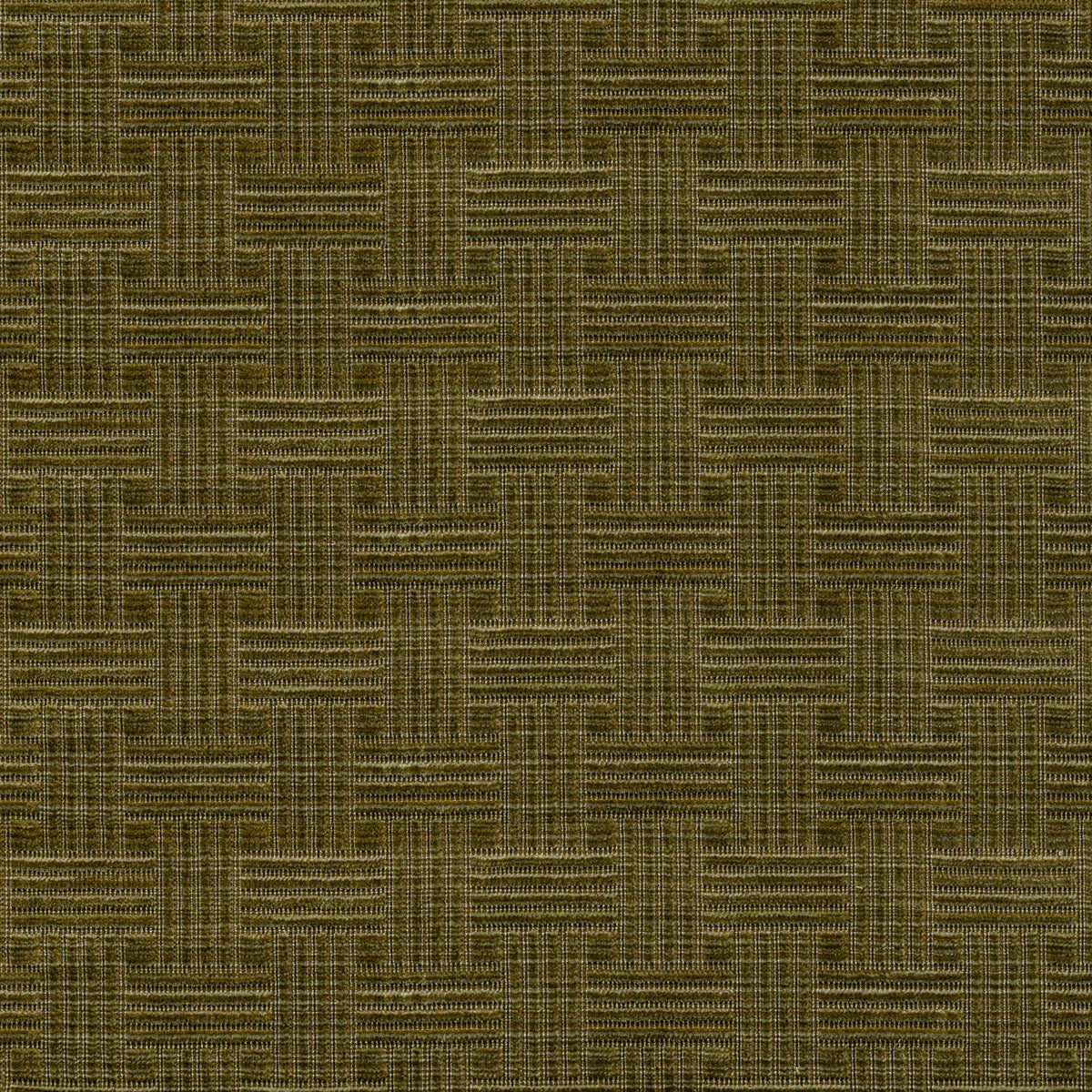 Nomad - Moss