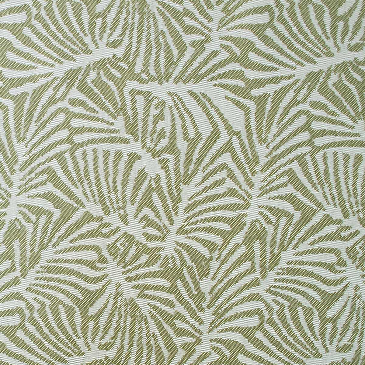 Palmetto - Olive