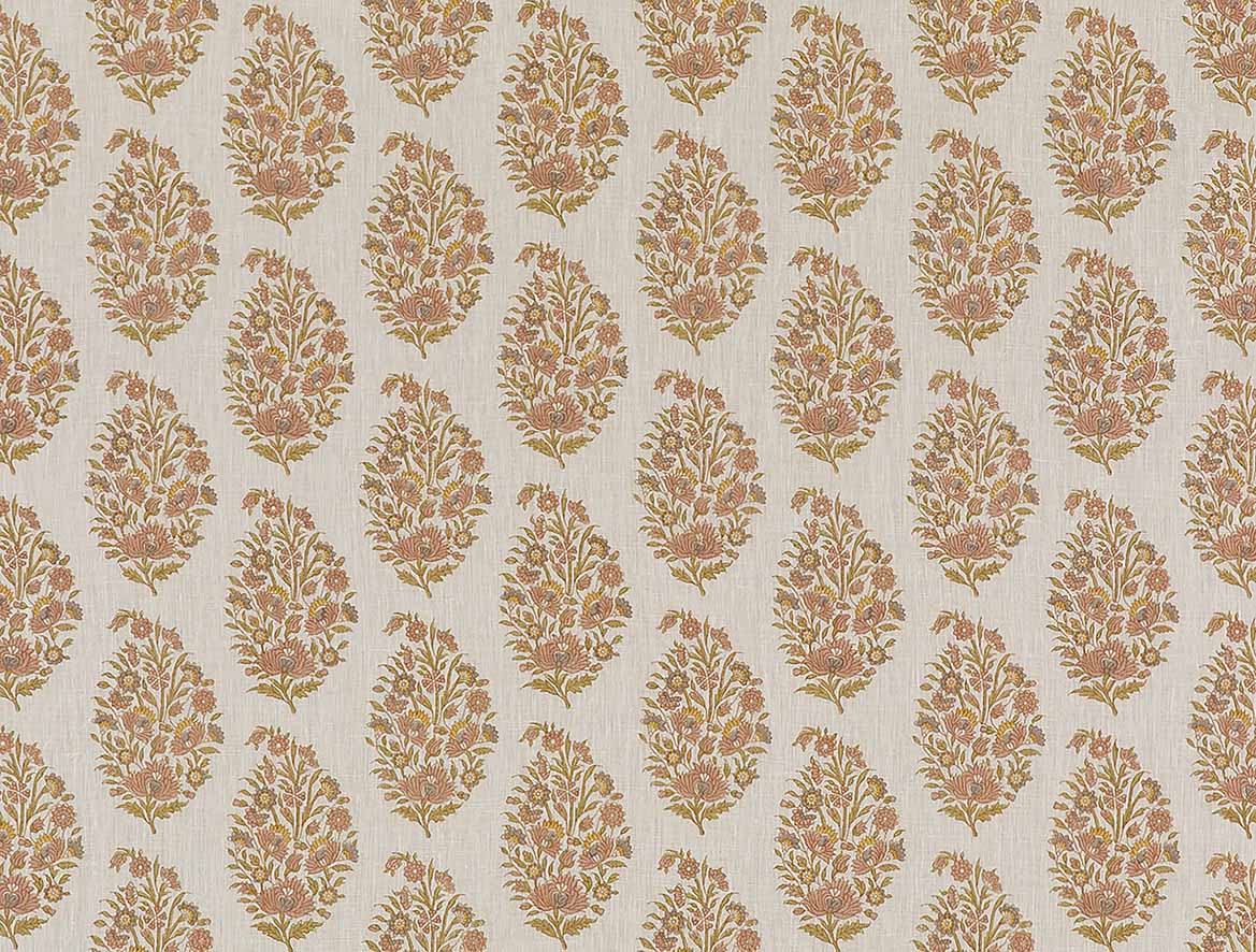 Rajpootana - Frangipani