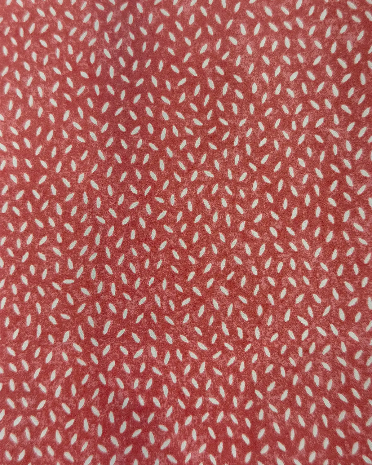Rice Wallpaper - Watermelon