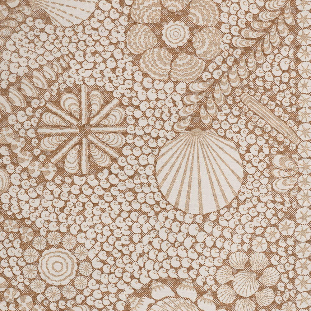 Shell Grotto - SHEL-012
