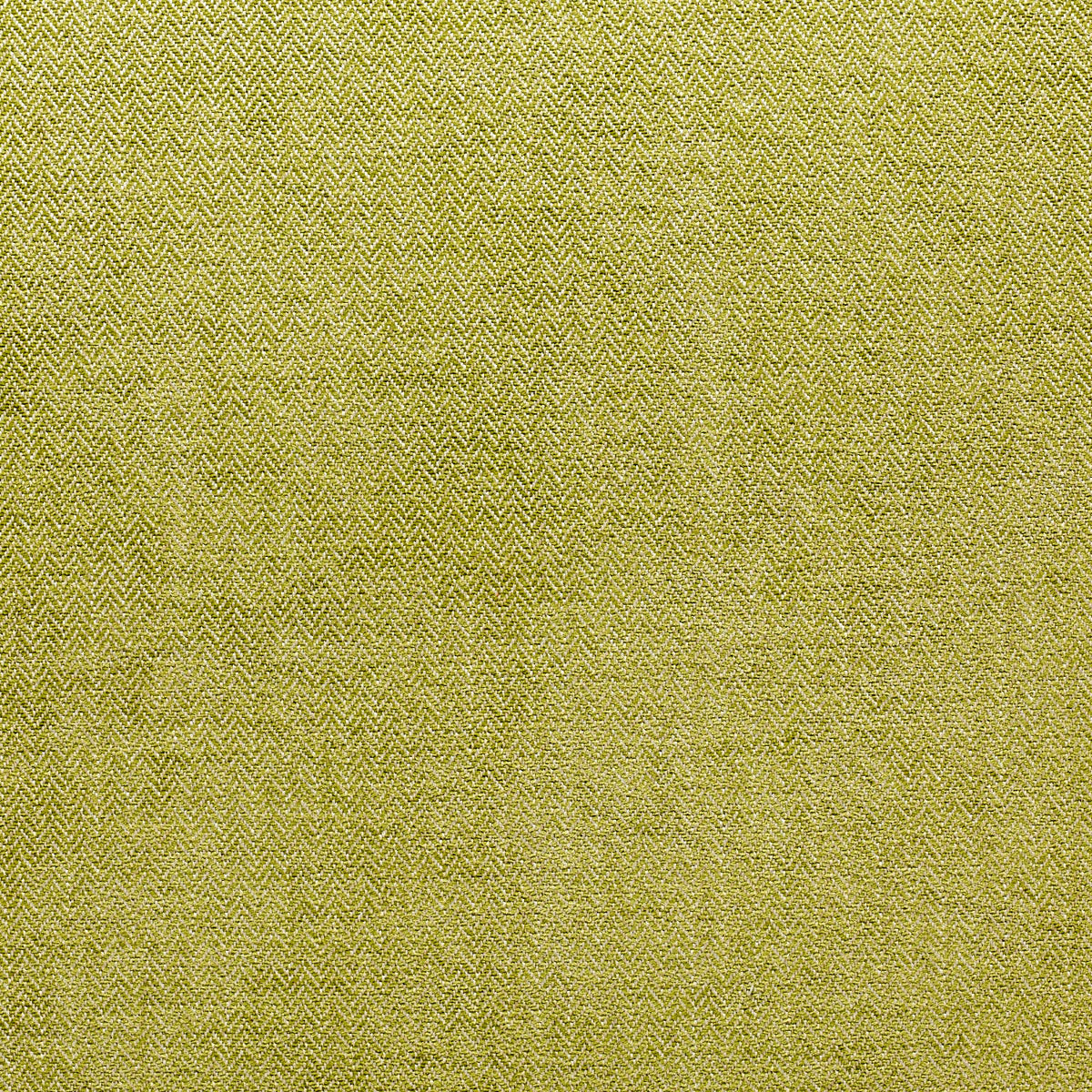 Sahara - Lettuce