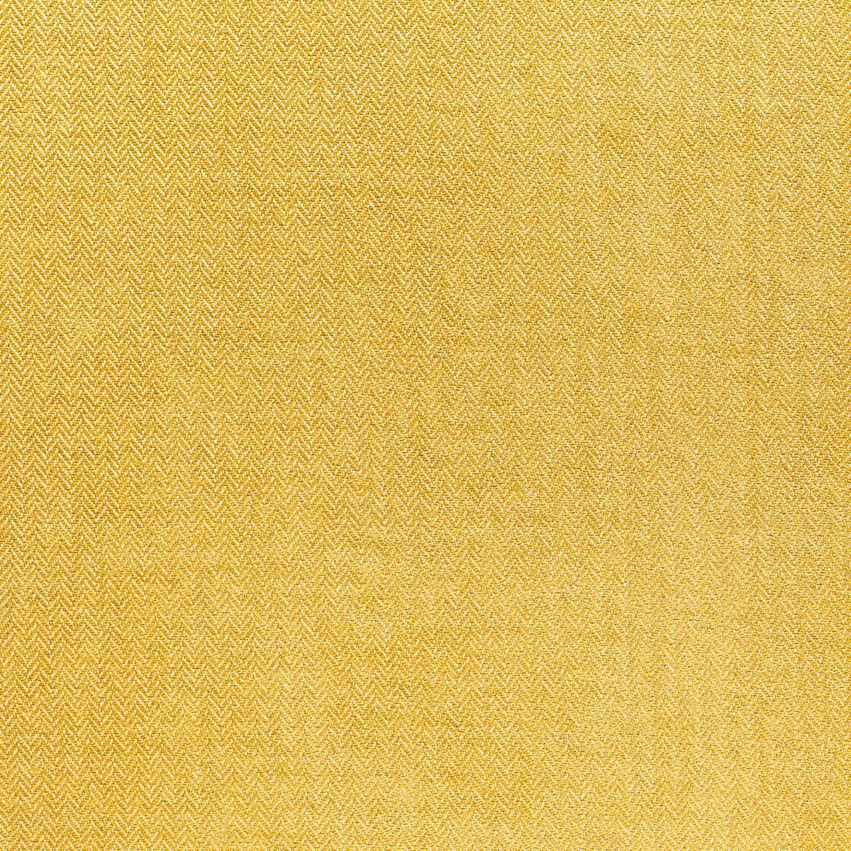 Sahara - Maize