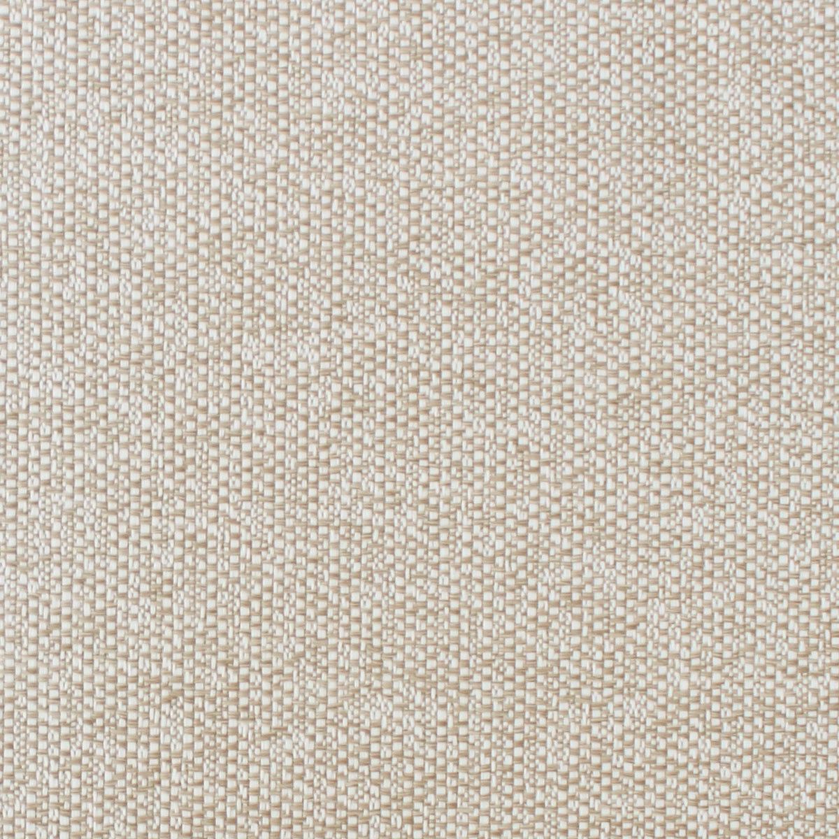Sandy - Sand