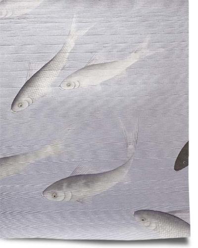 School Wallpaper Mural - Tide