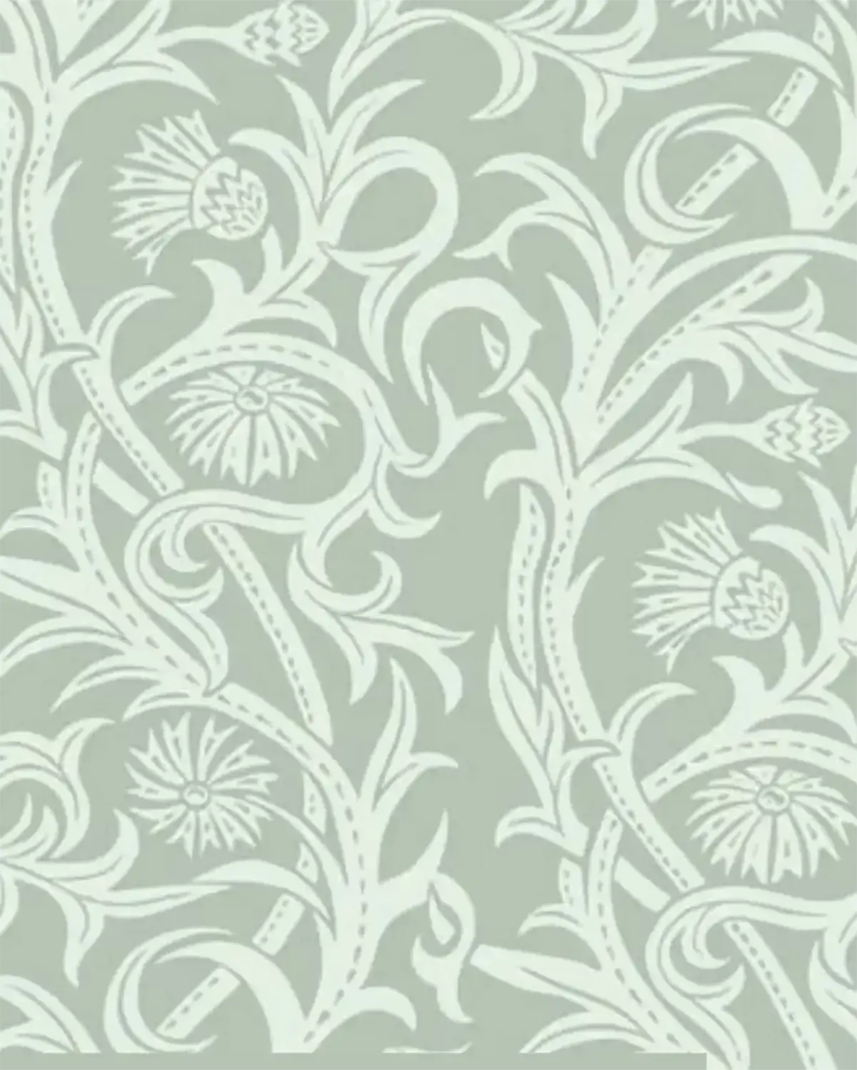 Cardoon - Digital - Eype Green on Misterton Sage