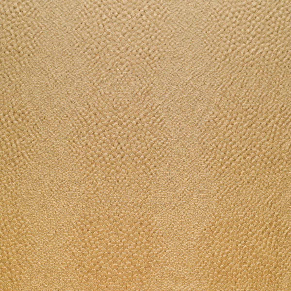 Shagreen - Champagne