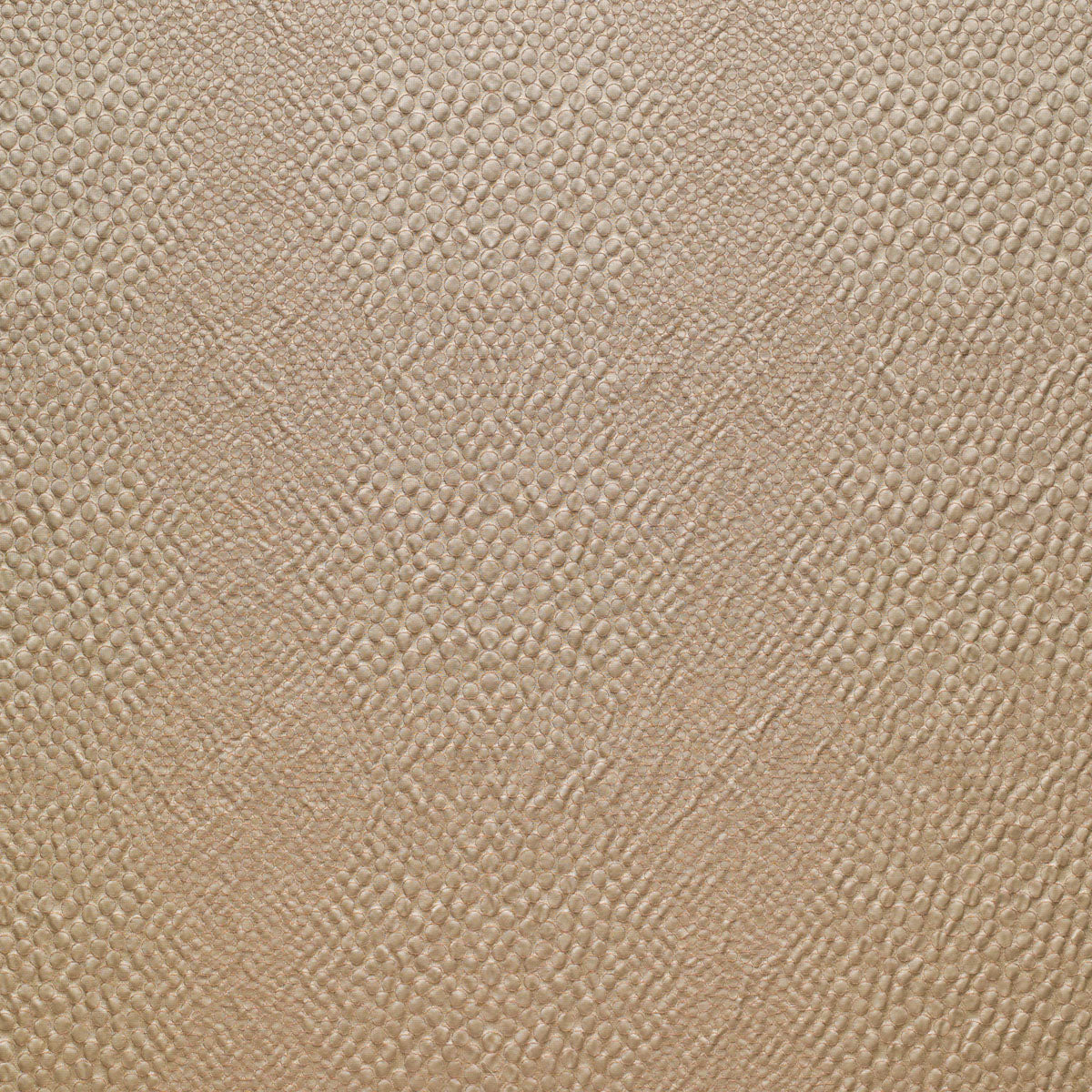 Shagreen - Latte
