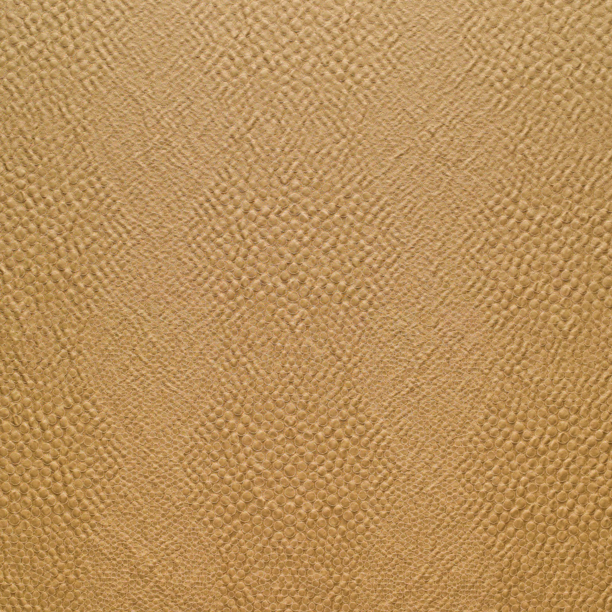Shagreen - Palomino