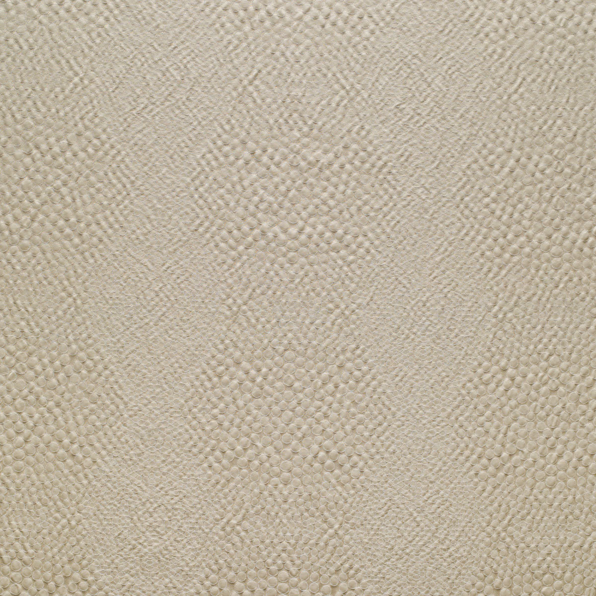 Shagreen - Parchment