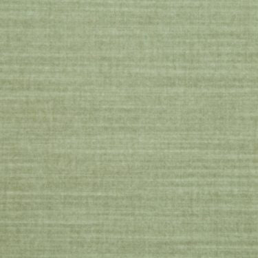 Spencer Velvet 354 - 38 Rosemary