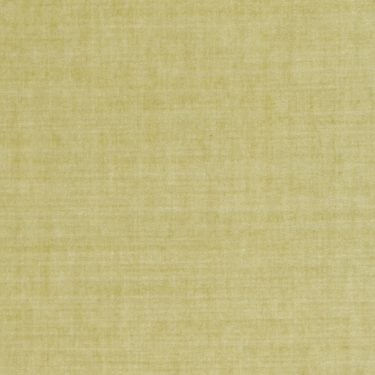 Spencer Velvet 354 - 33 Pale Olive