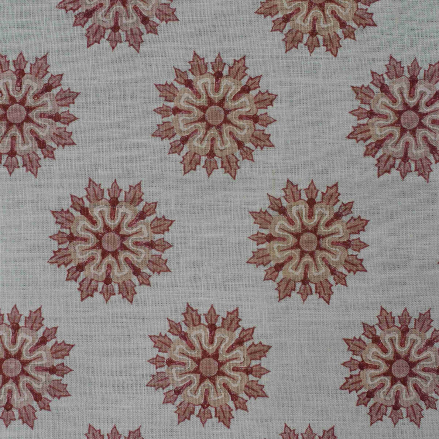 Star - Cherry / Oyster