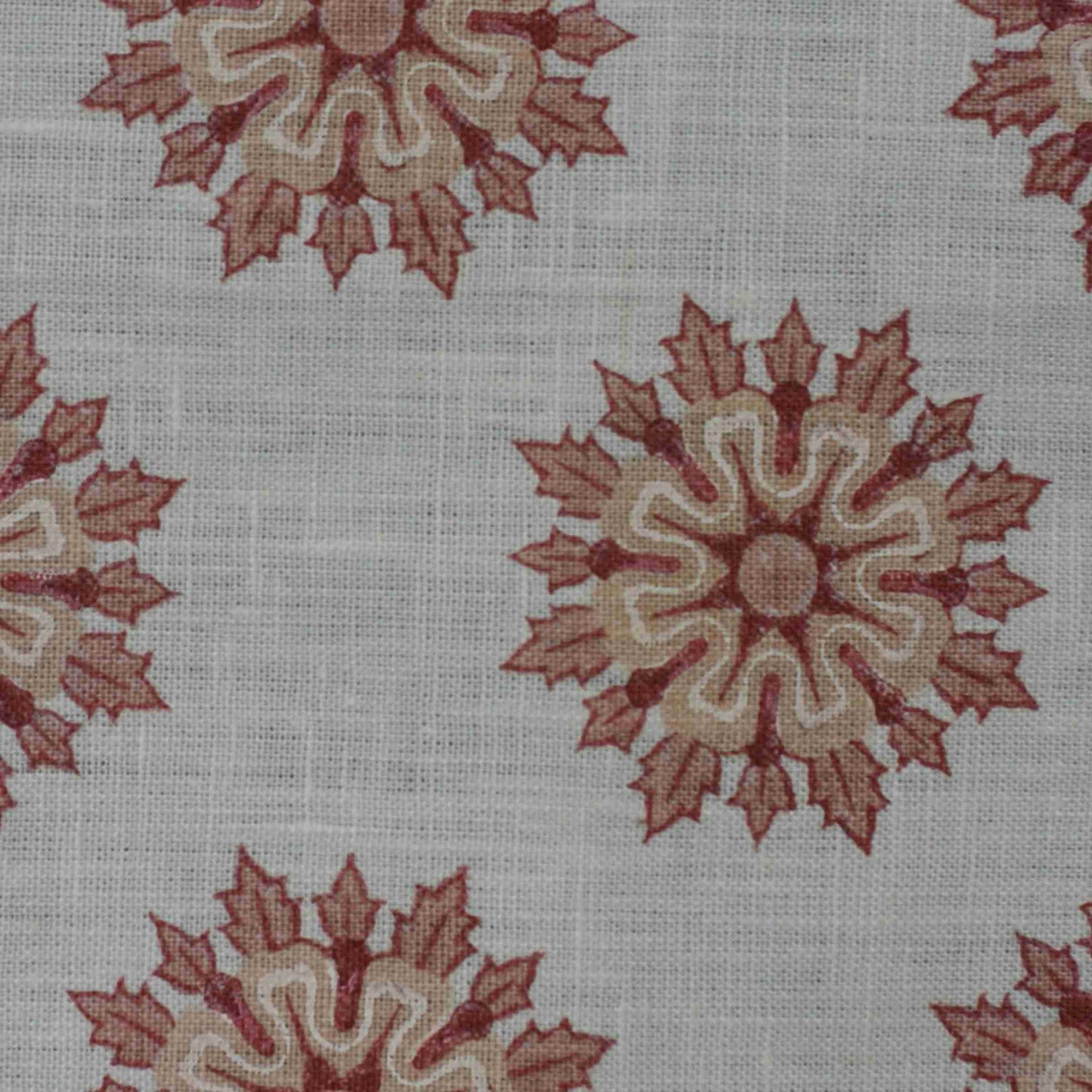 Star - Cherry / Oyster