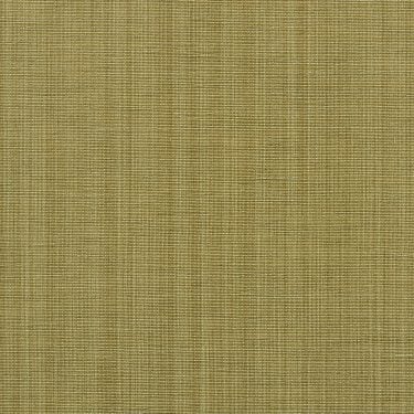 Strie 011L - 07 Lichen