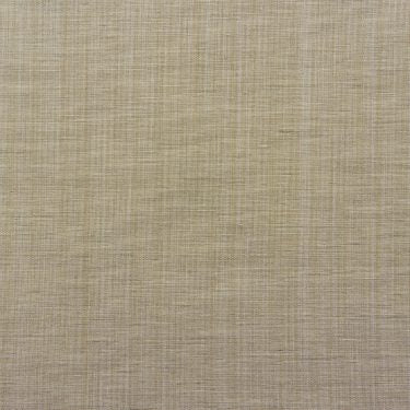 Strie 011L - 31 Papyrus