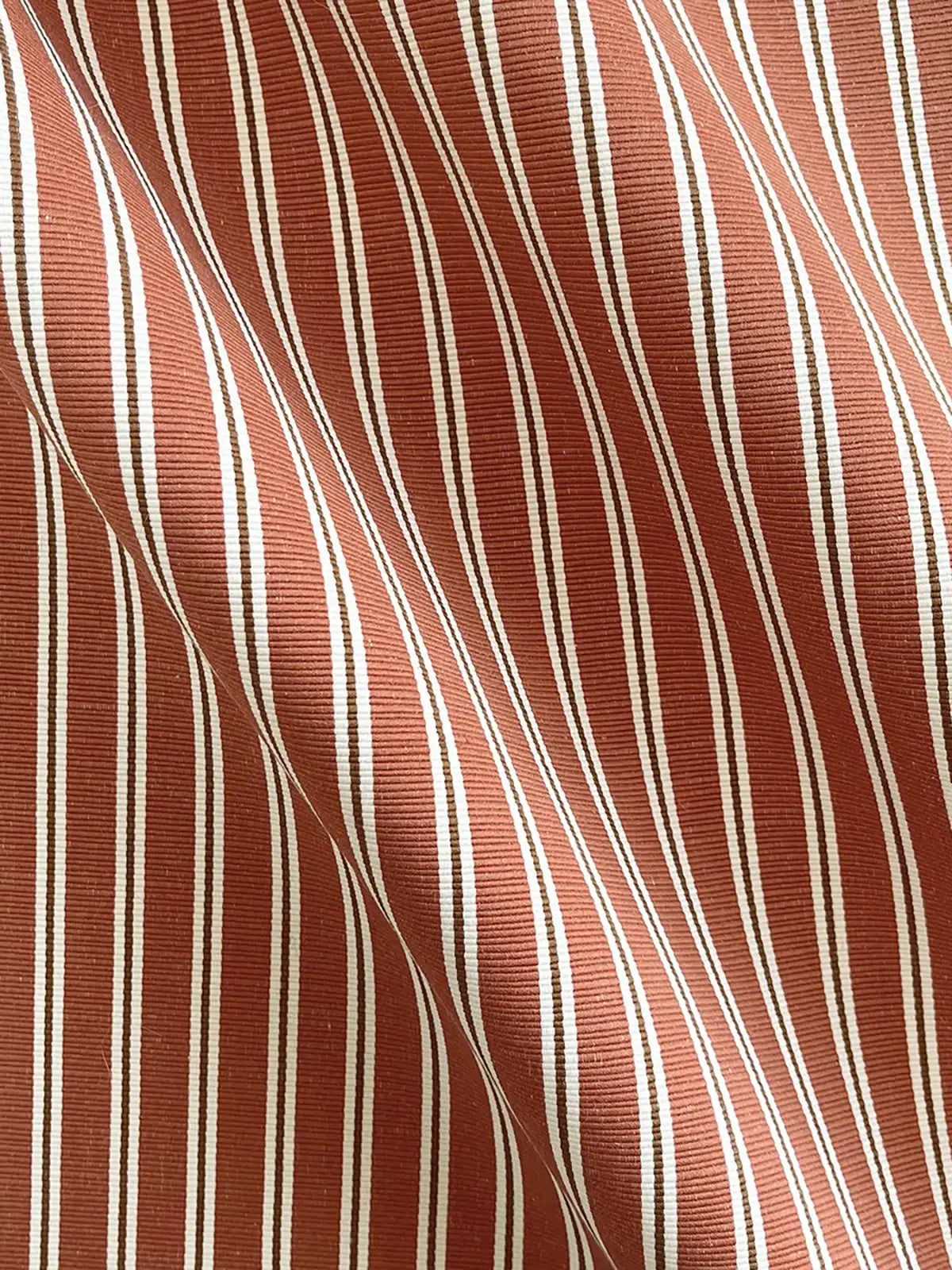 Between the Lines - Persimmon