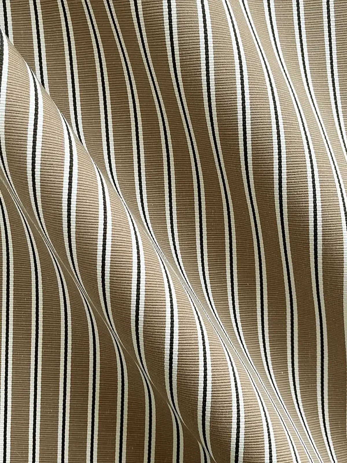 Between the Lines - Mink