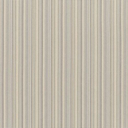 Equestrian Stripe - Hay