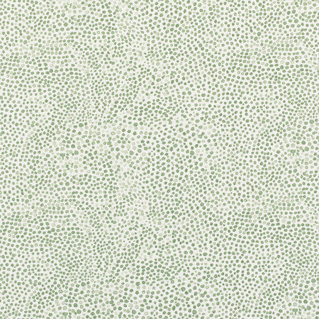 Dottie - Evergreen (Outdoor)