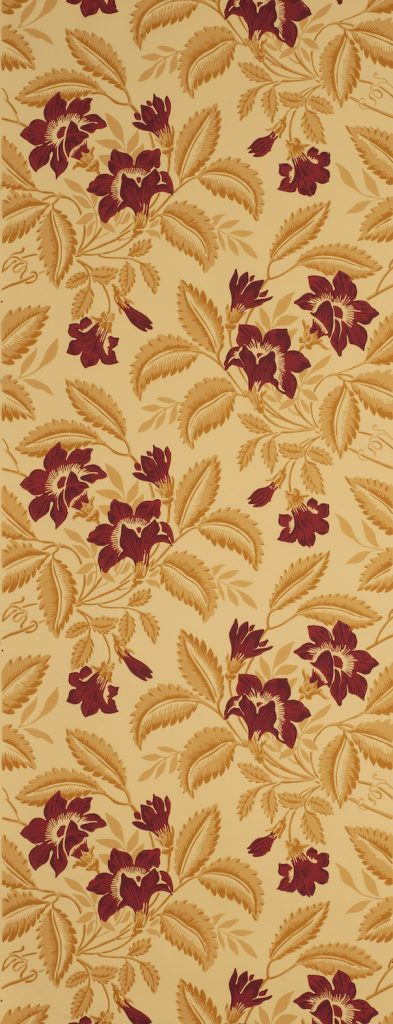 Trumpet Vine Wallpaper - B