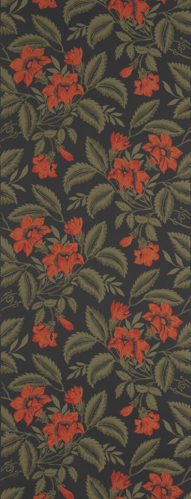 Trumpet Vine Wallpaper - D