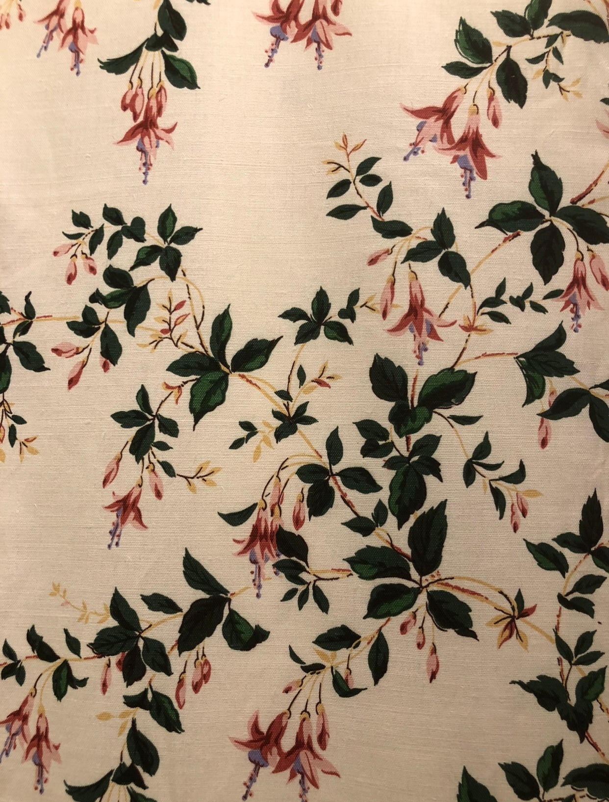 Fuchsia - Red & Green