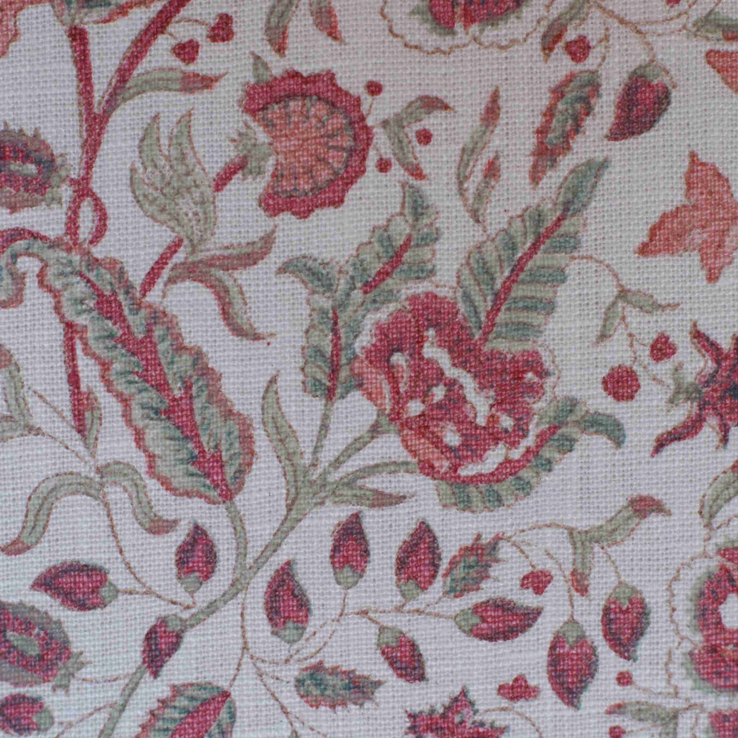 Vine - Tracery & Fuchsia