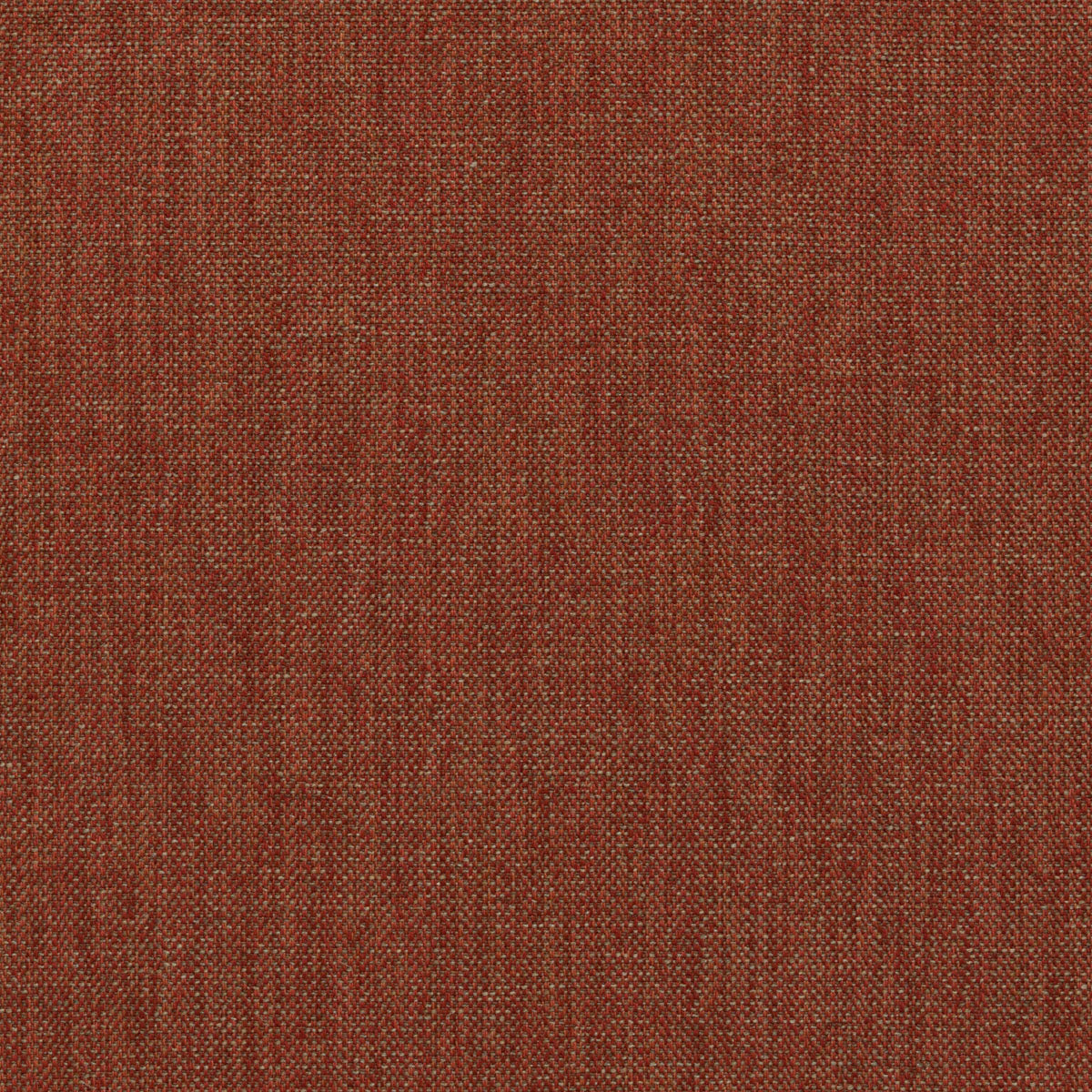 Vanessa - Firebrick