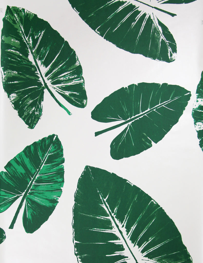 Banana Leaves Wallpaper - Green