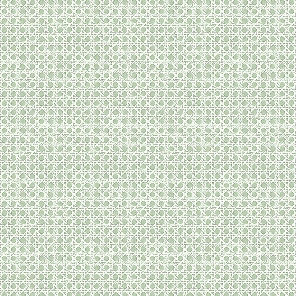 Rattan Grasscloth Wallpaper - Sage