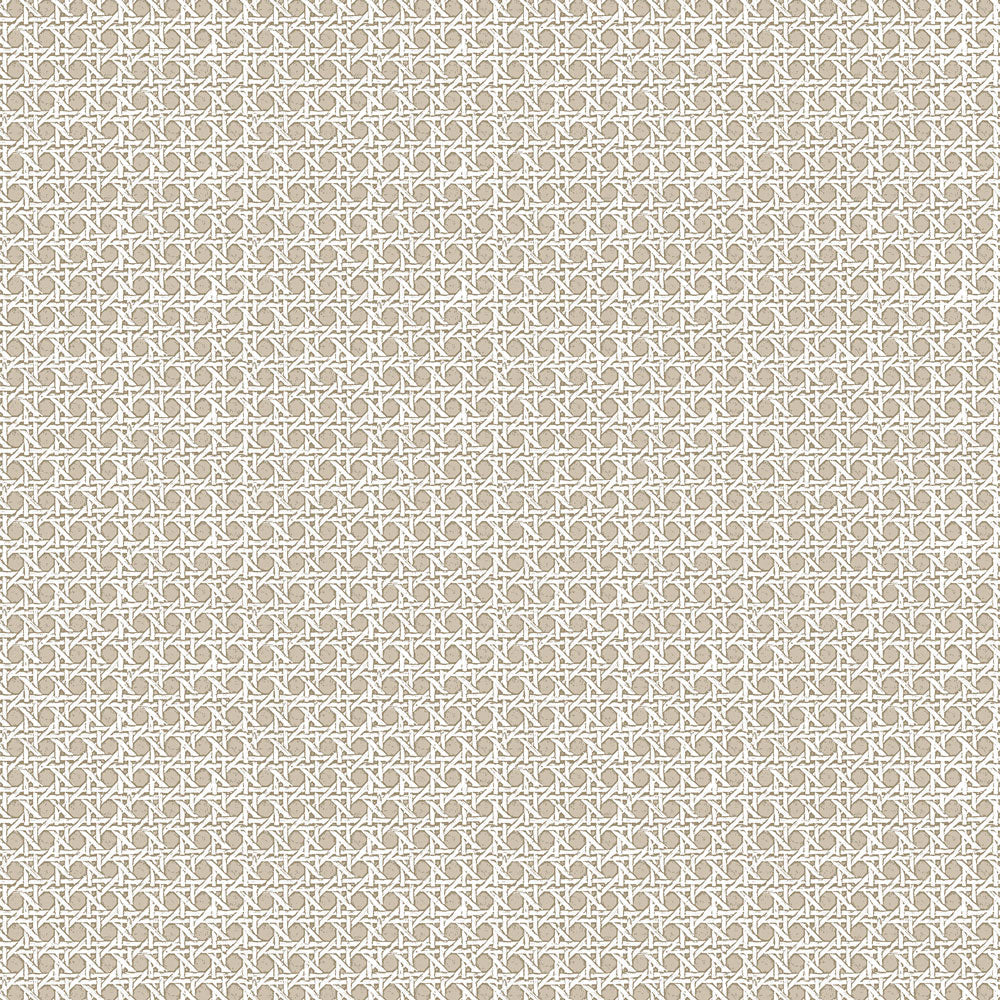 Rattan Grasscloth Wallpaper - Taupe