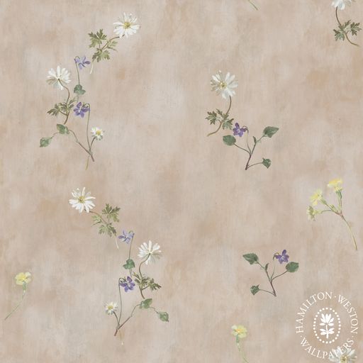 Spring Wallpaper - Shell